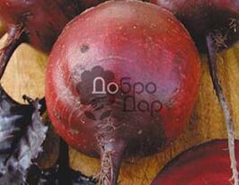 Кросби Египетская купить