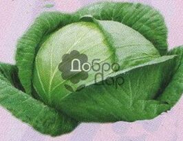 Гердакупити