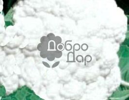 Уніботракупити