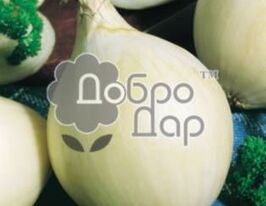 Біляночкакупити