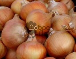 Олінакупити