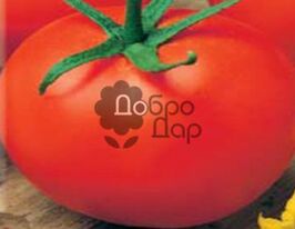 Сабалакупити