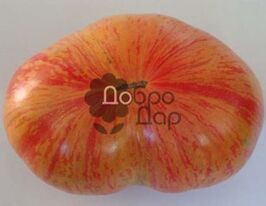 Томат Вінтейдж вайнкупити