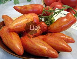 Перцевидний полосатийкупити