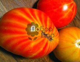 Рожевий смугастиккупити