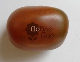 Сливка коричневакупити