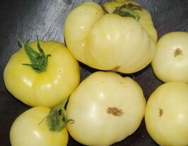 Снігова королевакупити