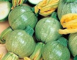 Цукини круглый Тондо купить