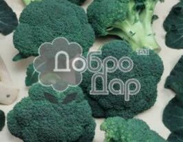 Вярус купить