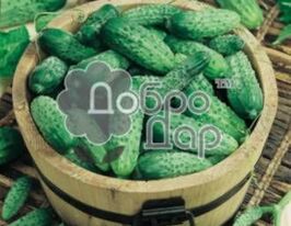 Шериф F1 купить