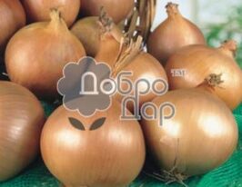 Супракупити