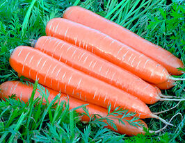 Тінгакупити