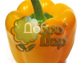 Жовтий Дивосвіткупити