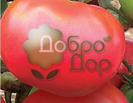 Бояринякупити