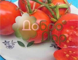 Томат Итальянские орешки купить
