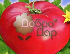 Гопаккупити