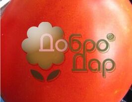 Козацька сливкакупити