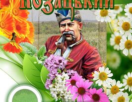 Казацкий купить