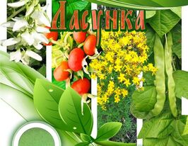 Лакомка купить