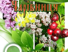 Волшебница купить