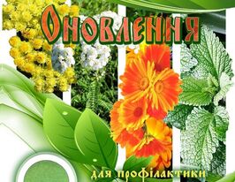 Обновление купить