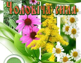 Мужская сила купить