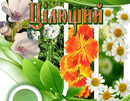 Целебный купить