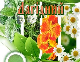 Ласковый купить