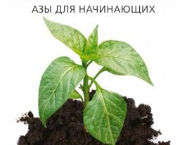 Агрошкола. Ази для початківцівкупити