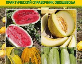 Бахчевые растения. Практический справочник овощевода купить