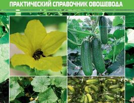 Огірок. Практичний довідник городникакупити