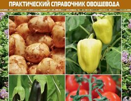 Пасльонові рослини. Практичний довідник городникакупити