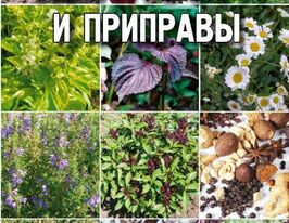 Прянощі та приправикупити