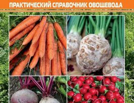 Столові коренеплоди. Практичний довідник городникакупити