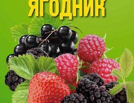 Урожайний ягідник. Практичний посібниккупити