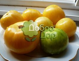 Томат Белая зебра купить
