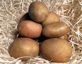 Картофель Серпанок купить