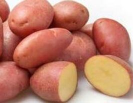 Картопля Астерікскупити