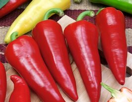 Перец сладкий Сакура купить
