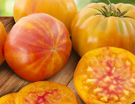 Томат Загадка природы купить