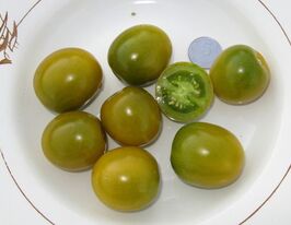 Немецкая вишня купить