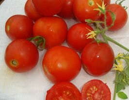 Снігуронькакупити