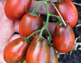 Шоколадный зайчик купить