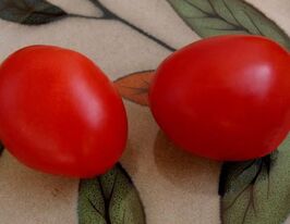 Вашингтонкупити