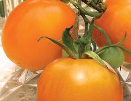 Дружбакупити