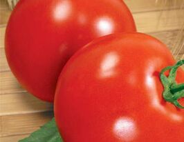 Томат Эверест купить