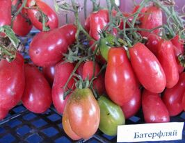 Батерфляйкупити