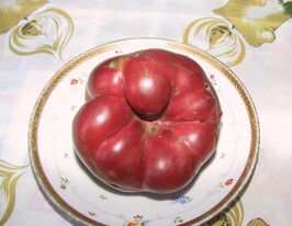 Томат Роза Далласа купить