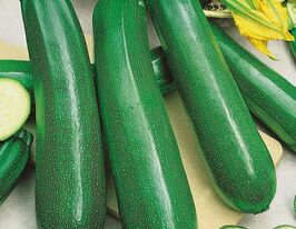 Кабачок цукини Цукеша купить