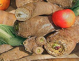 Катран (хрін) Акордкупити